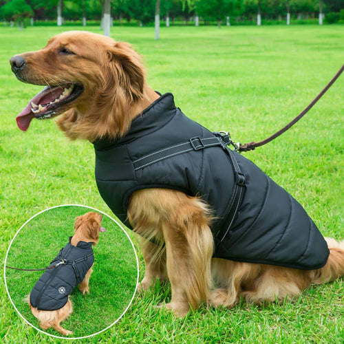 AquaPup Weatherproof Jacket - 50% Off + Free Shipping Last Day Promotion!