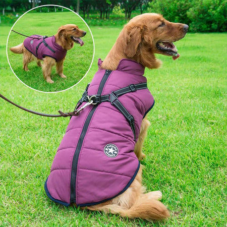 AquaPup Weatherproof Jacket - 50% Off + Free Shipping Last Day Promotion!